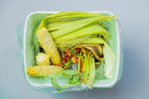 Compost bin