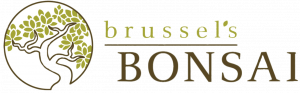 Brusselss Bonsai logo