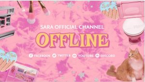 FREE offline banner template for Twitch theme Aesthetic Channels