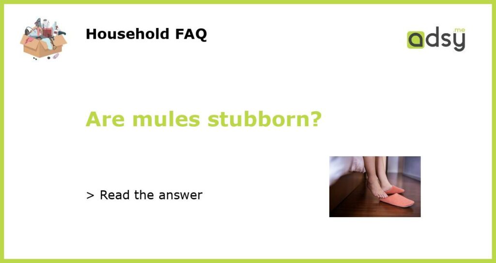 Are mules stubborn?