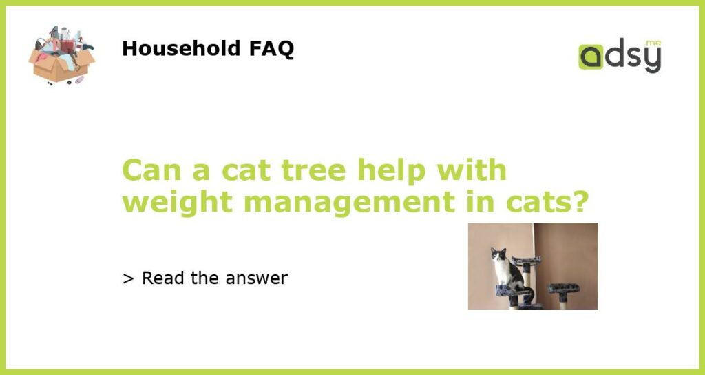 Can a cat tree help with weight management in cats featured