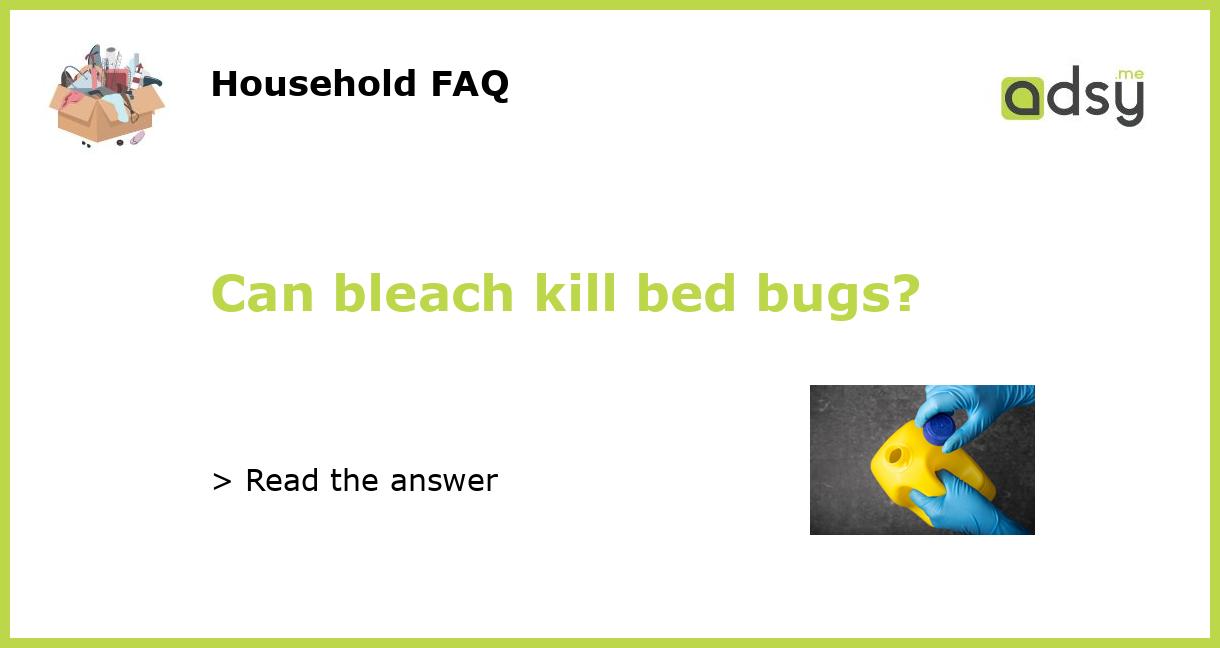 Can Bleach Kill Bed Bugs?