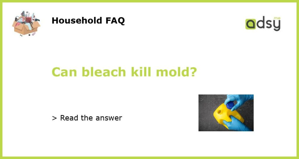 Can bleach kill mold featured