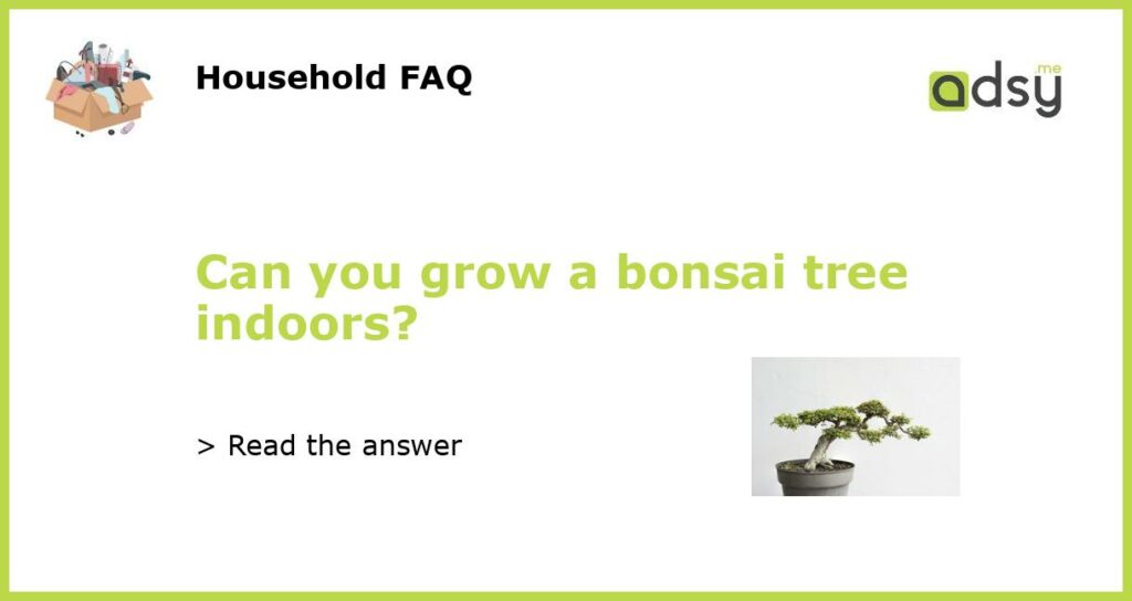 Can you grow a bonsai tree indoors featured