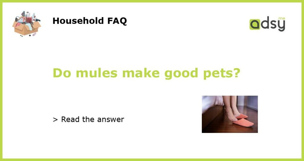 Do mules make good pets?