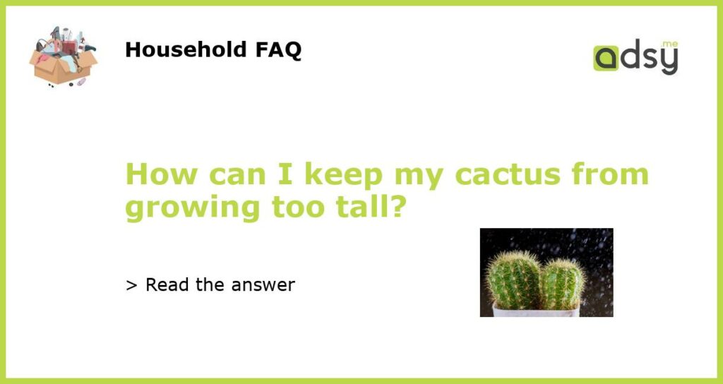 How can I keep my cactus from growing too tall featured