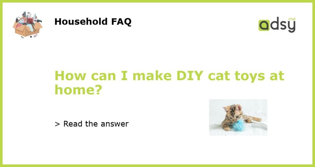 How can I make DIY cat toys at home featured
