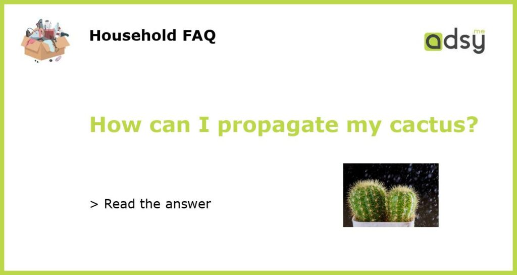How can I propagate my cactus?