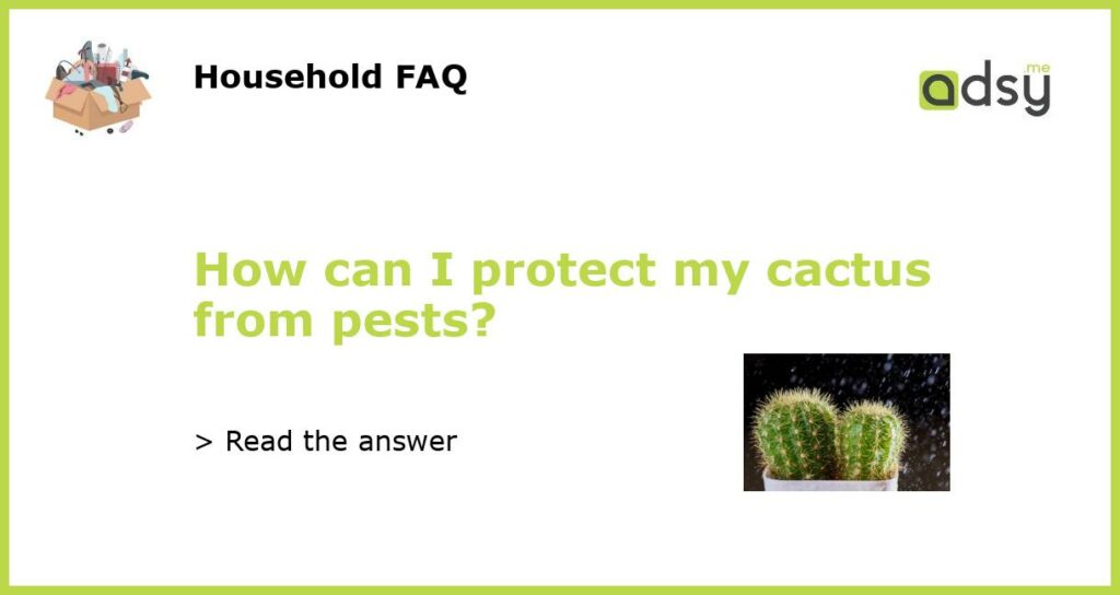 How can I protect my cactus from pests?