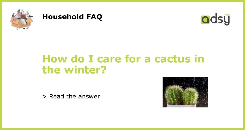 How do I care for a cactus in the winter featured