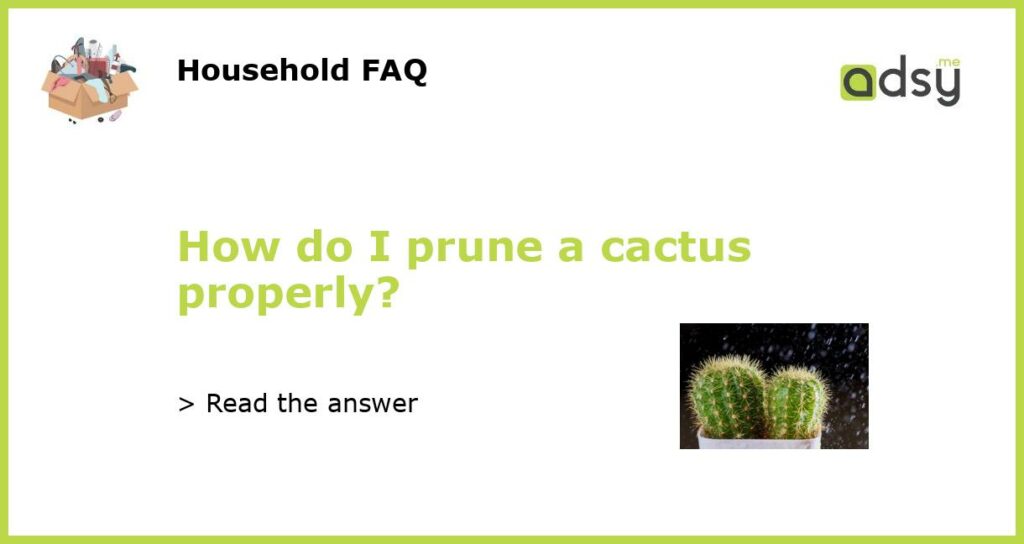 How do I prune a cactus properly featured