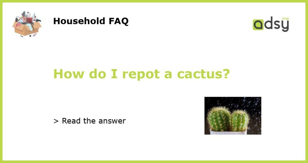 How do I repot a cactus?