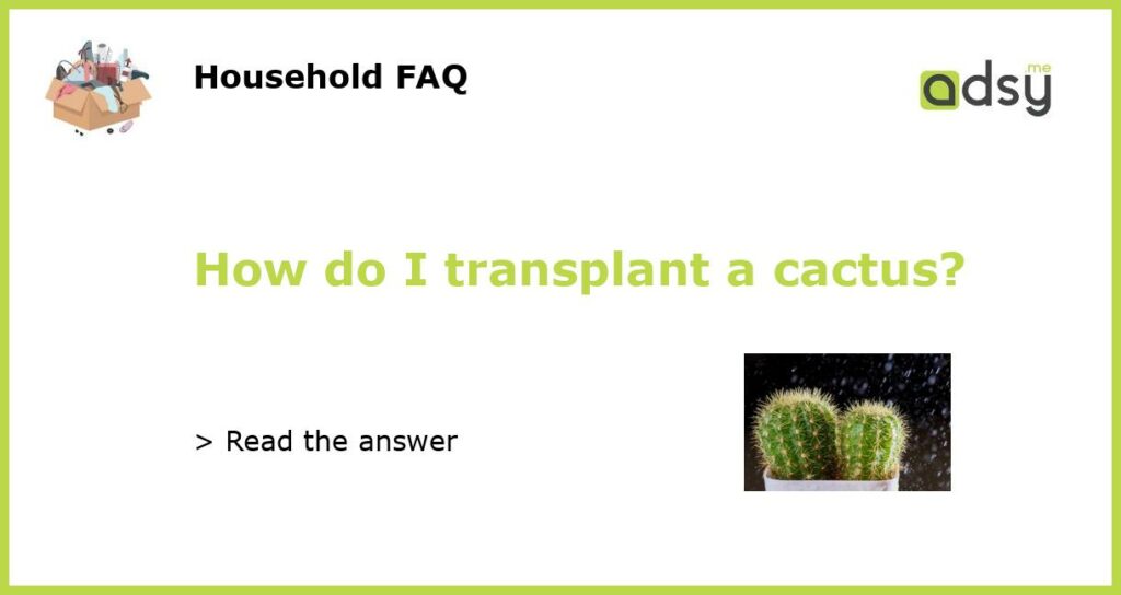 How do I transplant a cactus featured