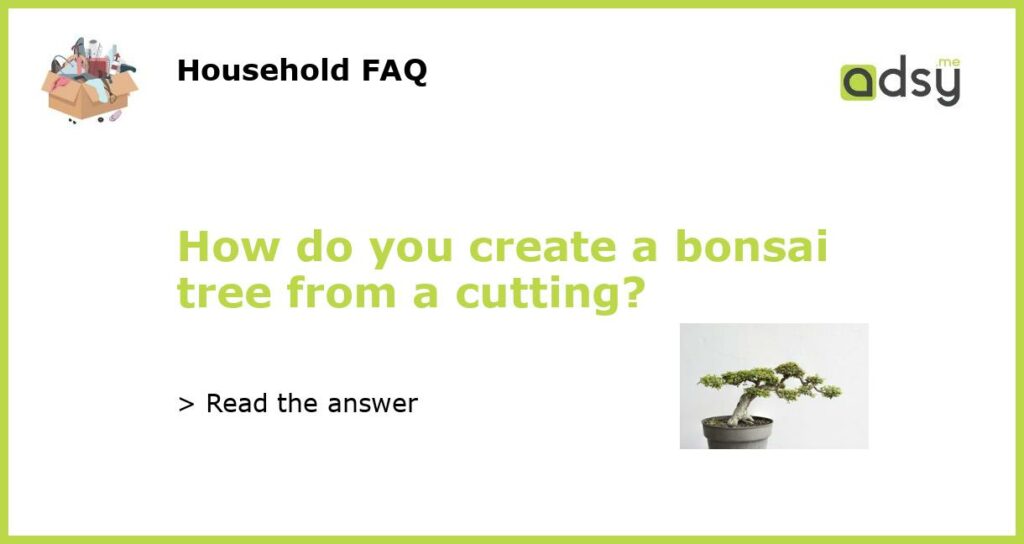 How do you create a bonsai tree from a cutting featured