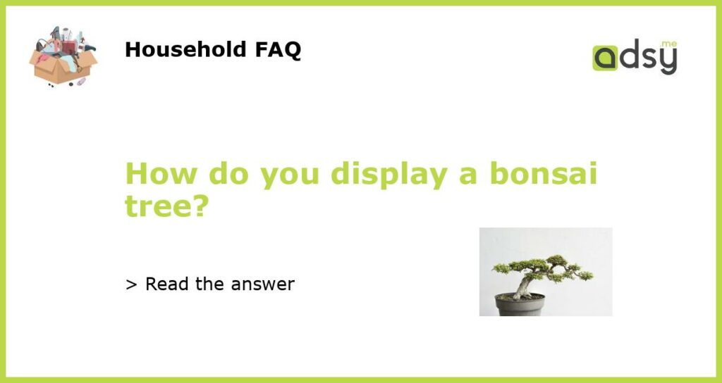 How do you display a bonsai tree featured