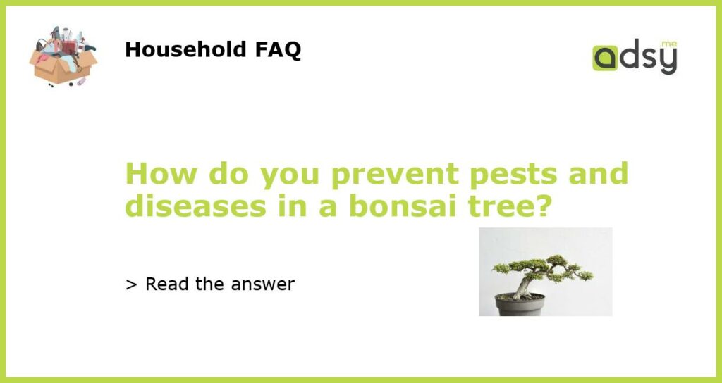 How do you prevent pests and diseases in a bonsai tree featured