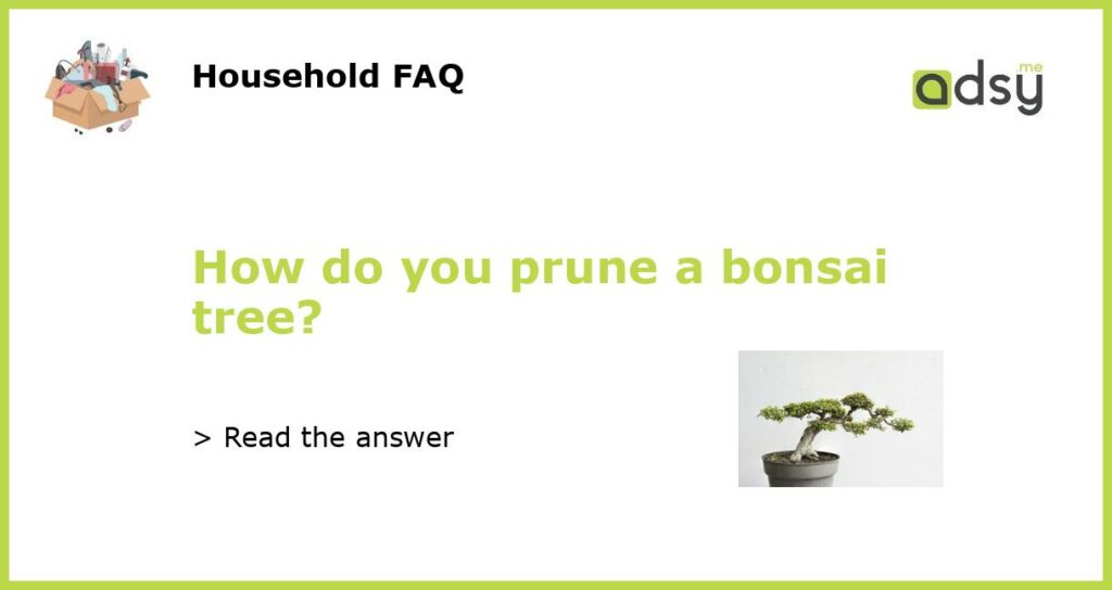 How do you prune a bonsai tree featured
