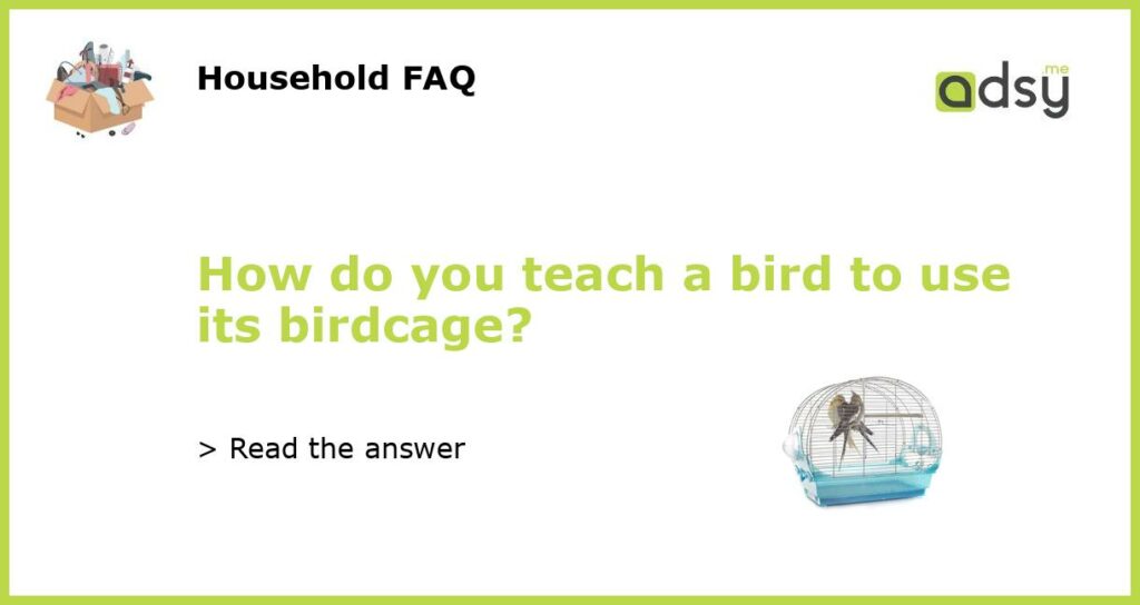 How do you teach a bird to use its birdcage?