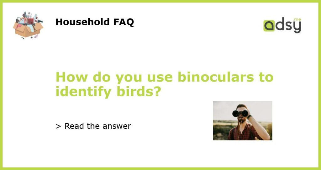 How do you use binoculars to identify birds featured
