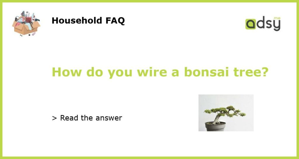 How do you wire a bonsai tree featured