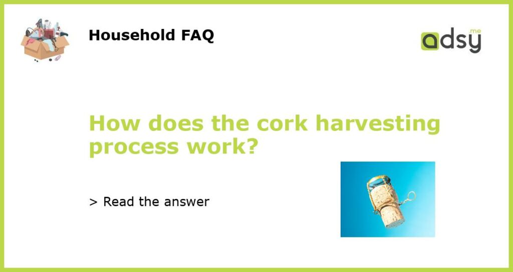 How does the cork harvesting process work featured