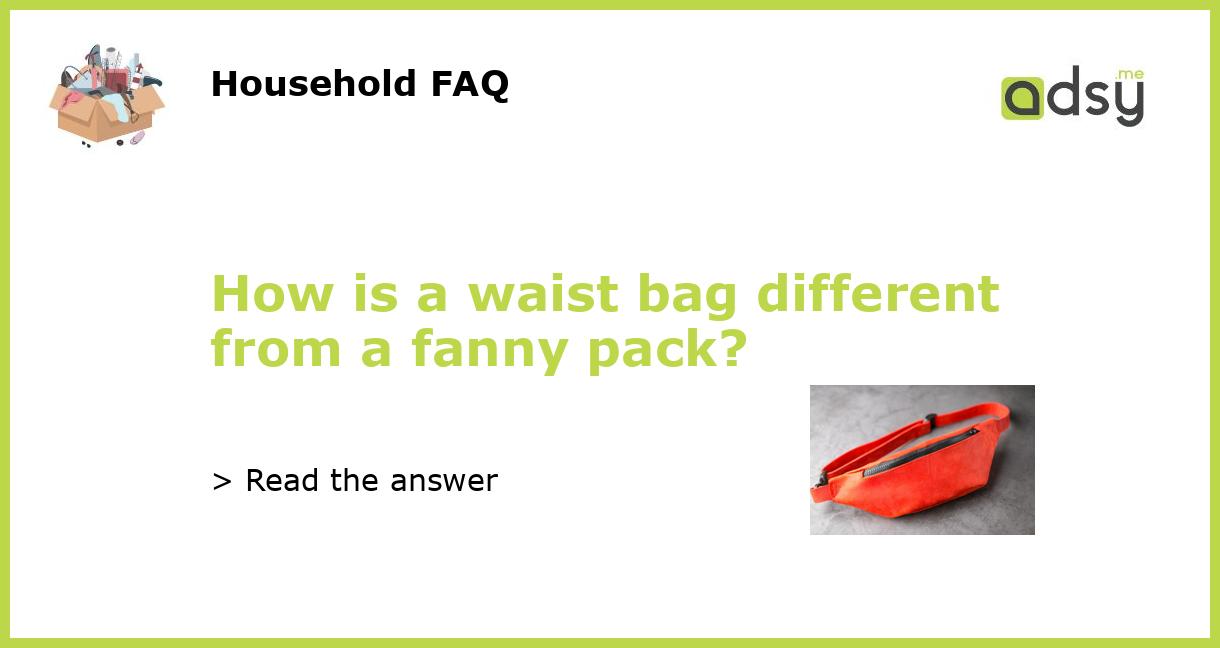 Fanny Pack or Belt Bag? Which Is It? - PurseBop