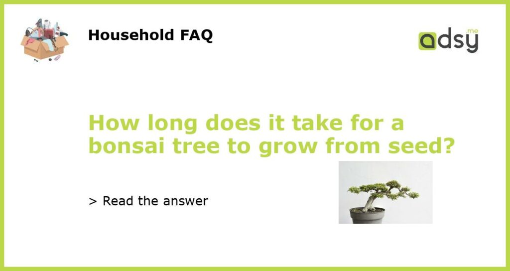 How long does it take for a bonsai tree to grow from seed featured