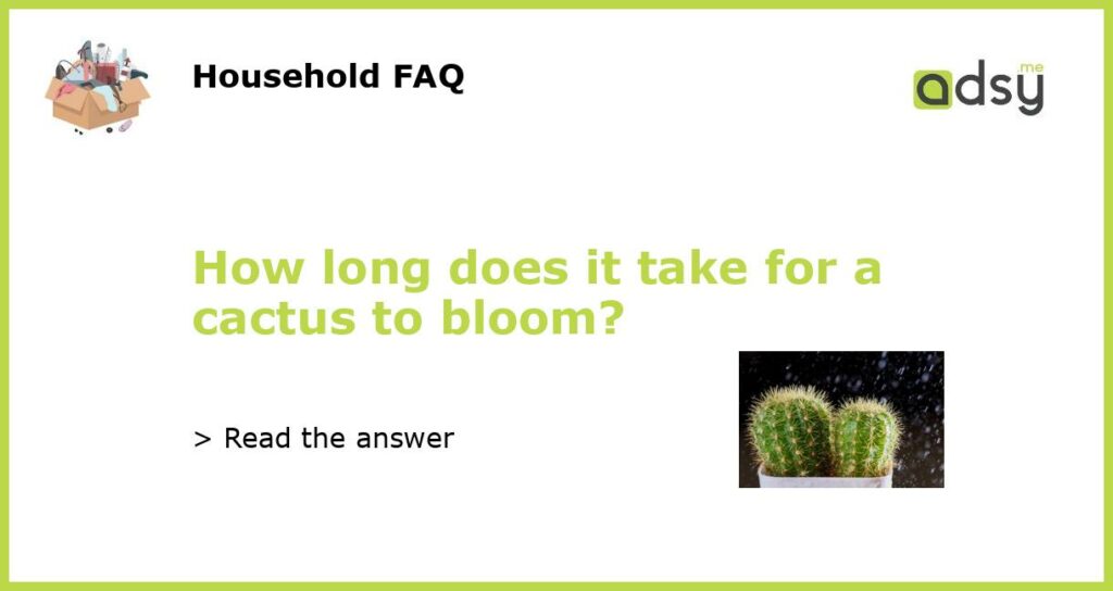How long does it take for a cactus to bloom featured