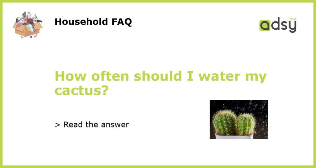 How often should I water my cactus?