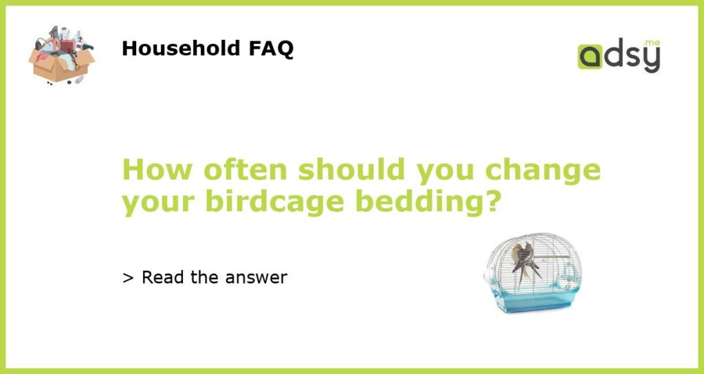How often should you change your birdcage bedding featured