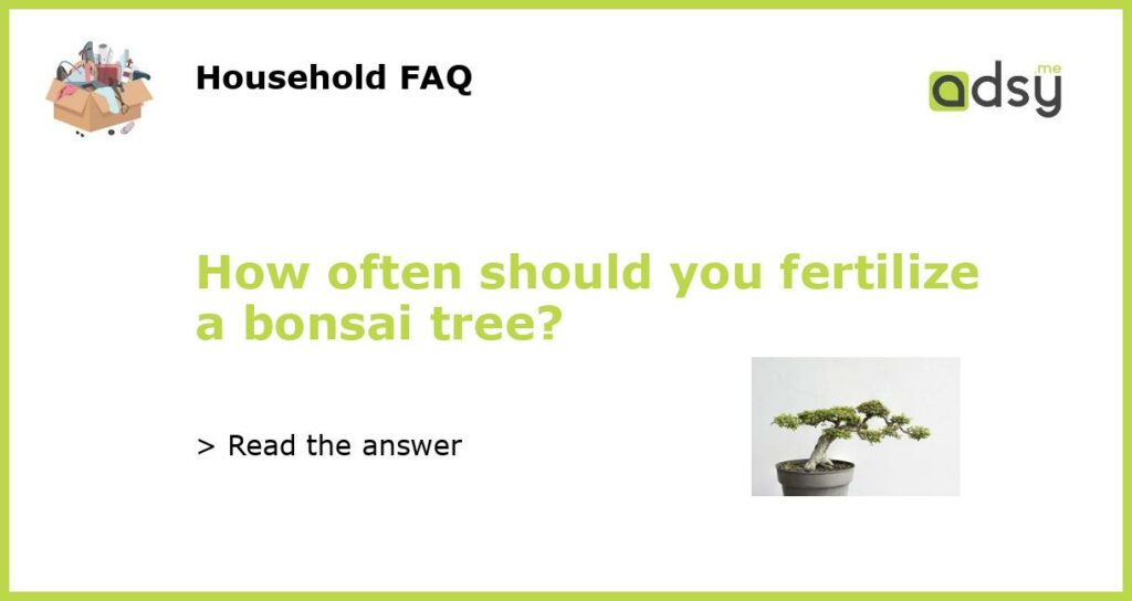 How often should you fertilize a bonsai tree featured