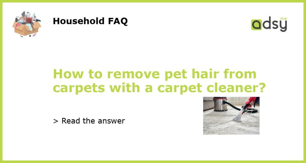 How to remove pet hair from carpets with a carpet cleaner featured