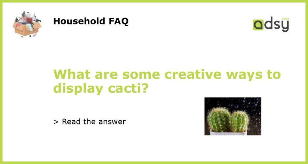 What are some creative ways to display cacti featured