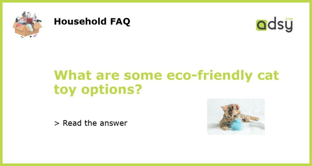 What are some eco friendly cat toy options featured