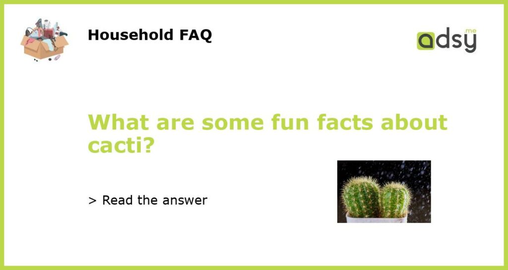 What are some fun facts about cacti featured