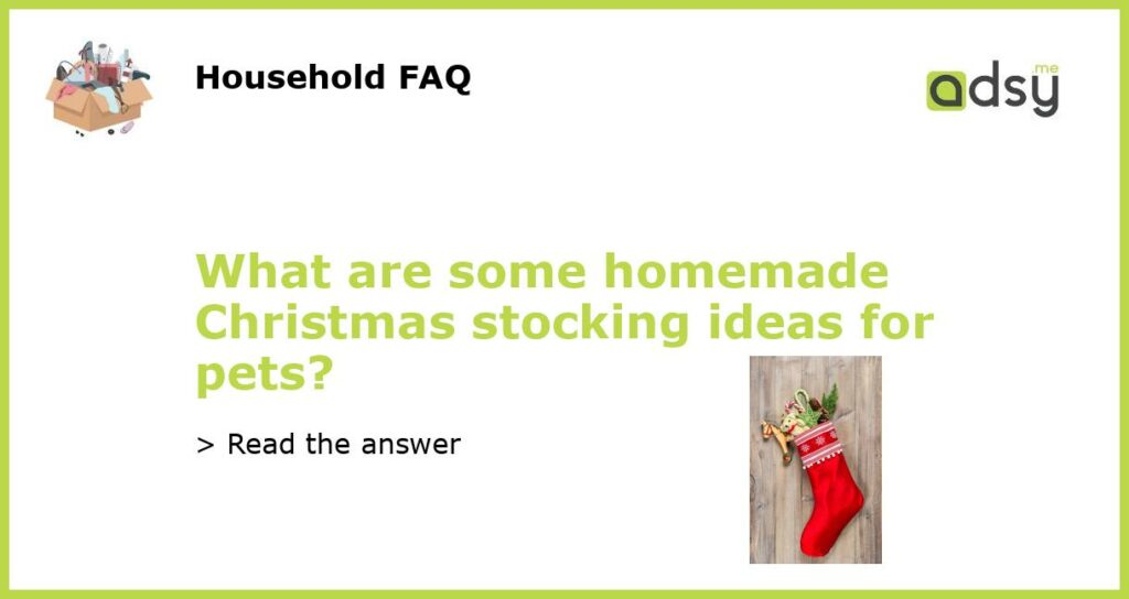 What are some homemade Christmas stocking ideas for pets featured