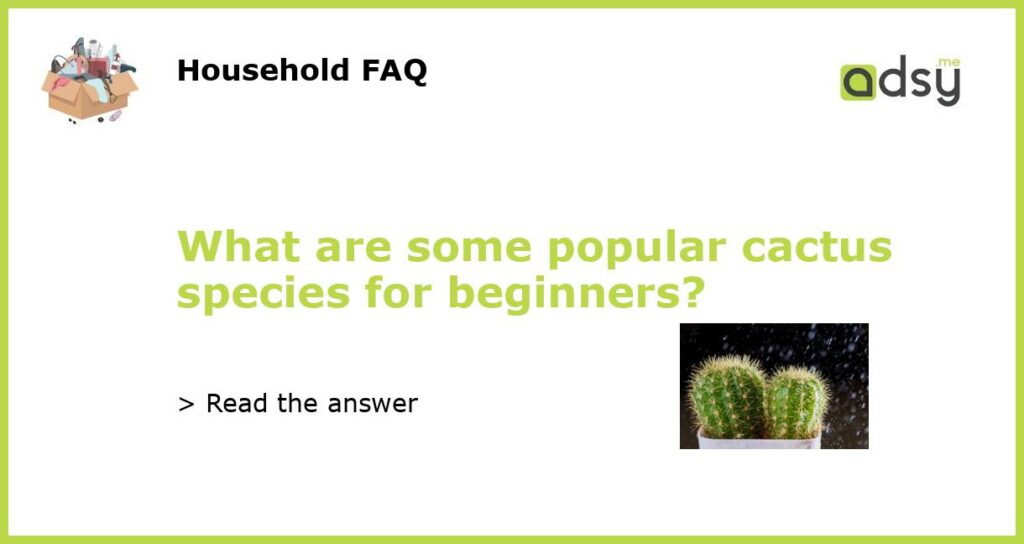 What are some popular cactus species for beginners featured