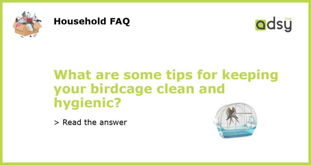 What are some tips for keeping your birdcage clean and hygienic featured