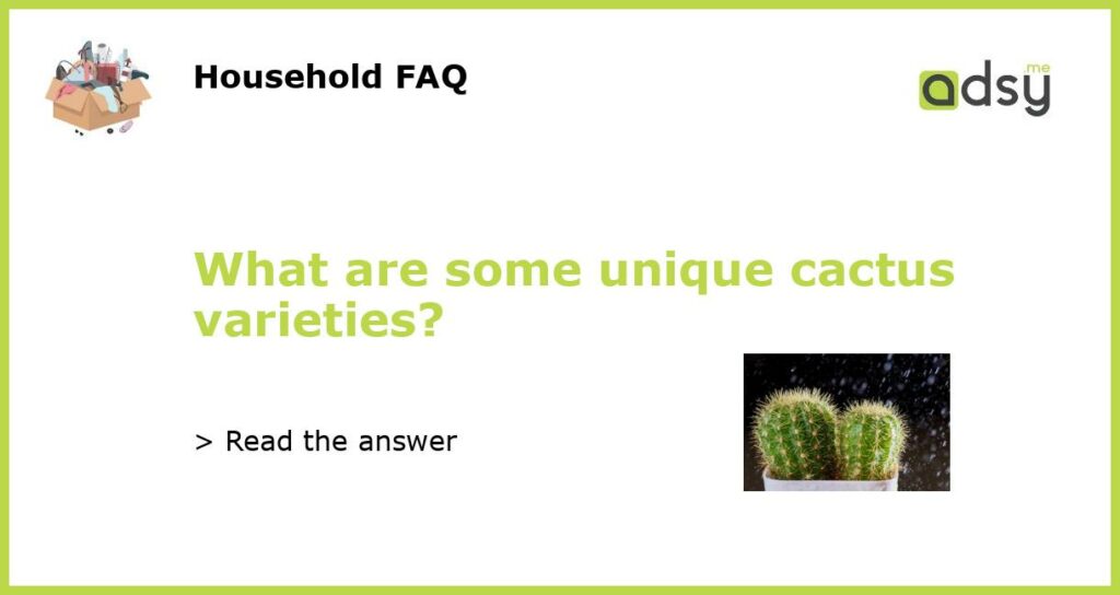 What are some unique cactus varieties featured