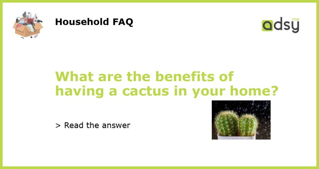 What are the benefits of having a cactus in your home?