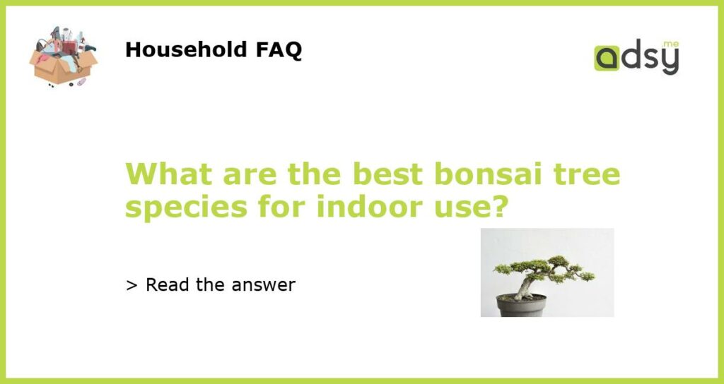 What are the best bonsai tree species for indoor use featured