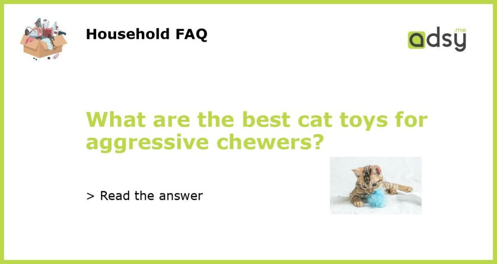 What are the best cat toys for aggressive chewers featured