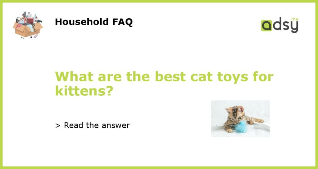 What are the best cat toys for kittens featured