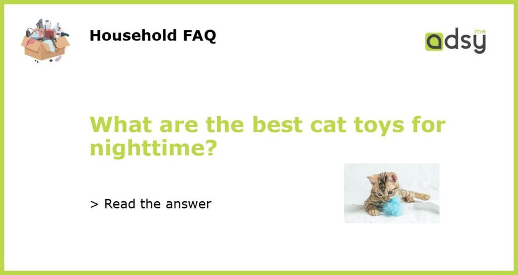 What are the best cat toys for nighttime featured