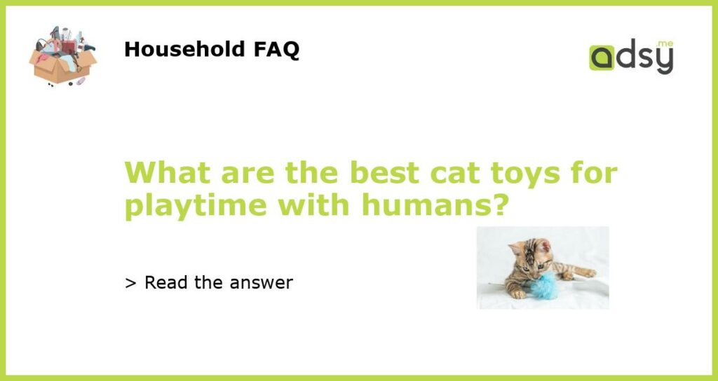 What are the best cat toys for playtime with humans featured