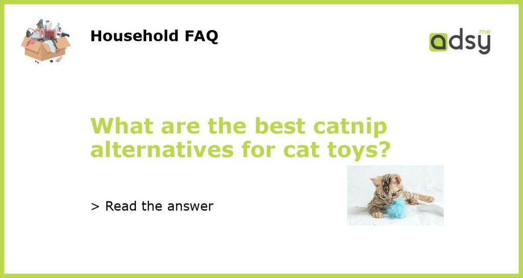 What are the best catnip alternatives for cat toys featured