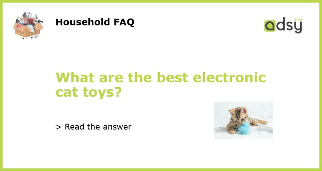 What are the best electronic cat toys featured