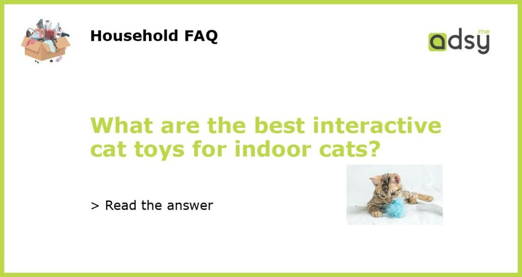 What are the best interactive cat toys for indoor cats featured