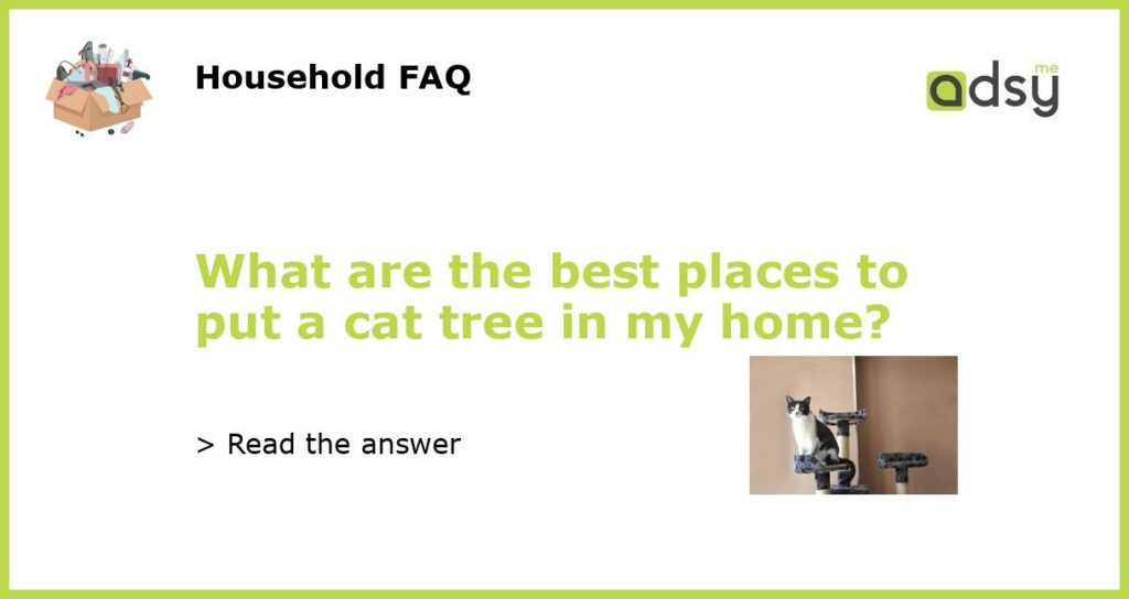 What are the best places to put a cat tree in my home featured