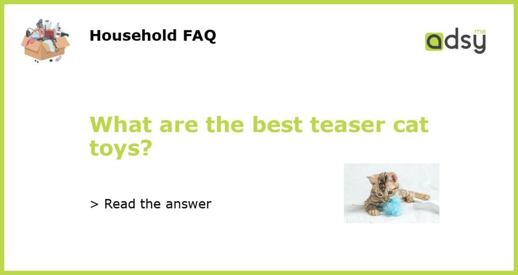 What are the best teaser cat toys featured